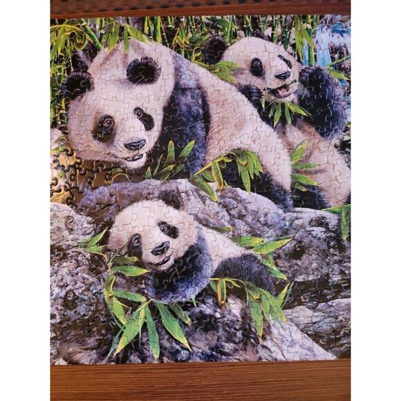 Panda Hidden Images 500 Piece Puzzle Complete - Picture 7 of 8